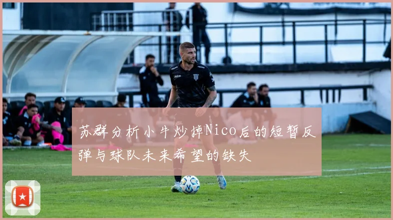 苏群分析小牛炒掉Nico后的短暂反弹与球队未来希望的缺失