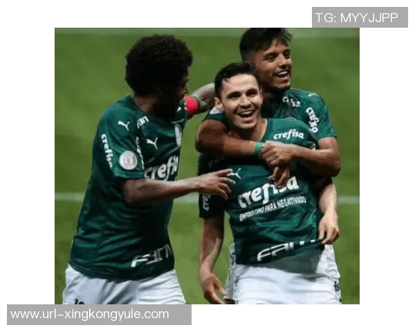 迈阿密即将租借帕尔梅拉斯中卫米凯尔并附带买断选项