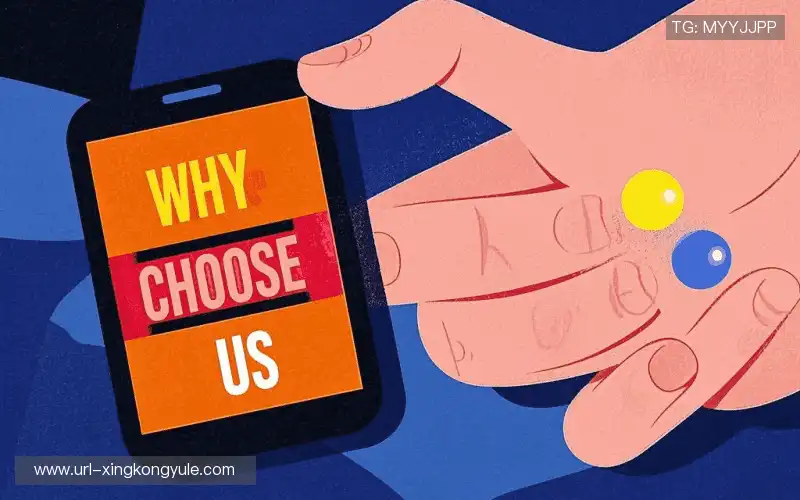 为什么选择我们?